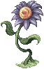 Shaman's Flower