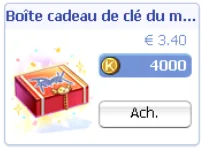 Boîte cadeau de clé du monde (boutique)
