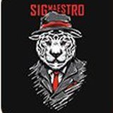 Sigmaestro